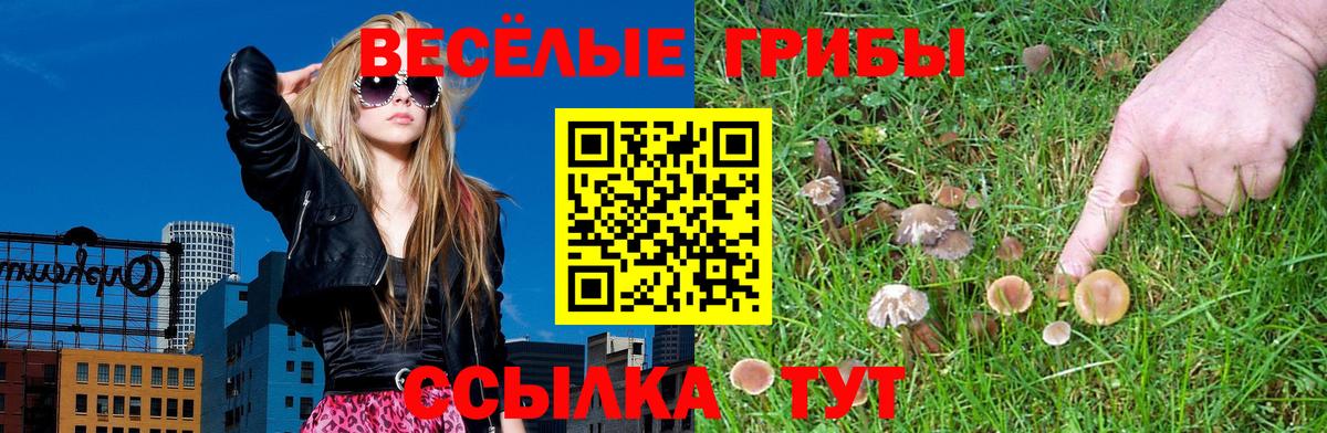 как найти закладки  Вход с VPN  Брянск  Галлюциногенные грибы прущие грибы 